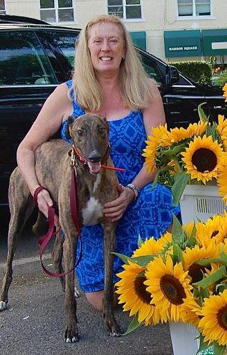 BeePharm Honeybees for Health - Thumbnail