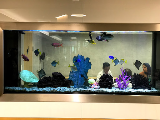 The aquarium people Logo