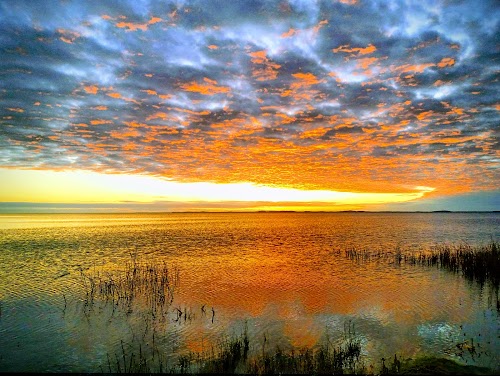 Kintų apžvalgos bokštas