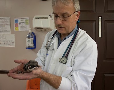 Photos of All Creatures Veterinary Clinic Inc