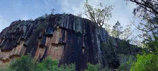 Sawn Rocks walking track
