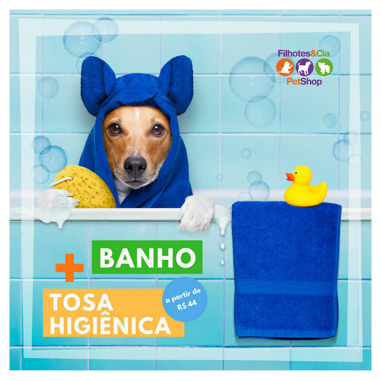 Banho e Tosa Pet Shop Indianopolis - Pet Shop Perto de Mim Banho e