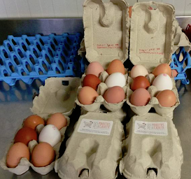 Photo n°2 de Les Poulettes De La Calvette à Rochefort-du-Gard (Magasin de produits de la ferme)