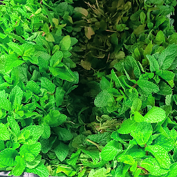 Photo n°5 de City Center à Palaiseau (Casier à colis)