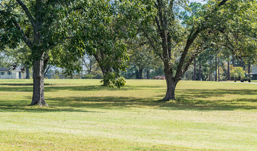 Dodge Pecan Company Gallery - United States