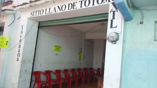 Sitio De Taxis Llano De Totomoxtle S.A