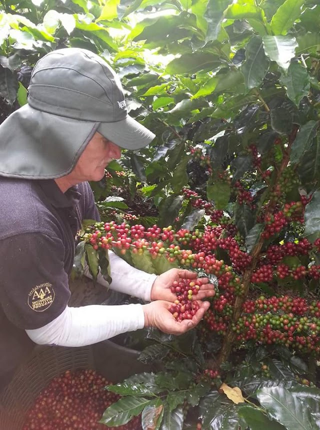 Finca Edgar Fernandez