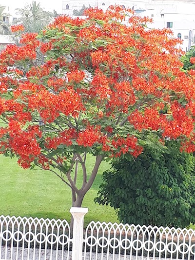 Photos of Al Manakh Park