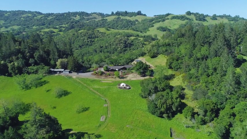 NewTree Ranch by null