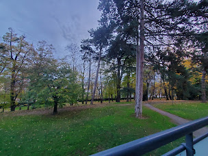 Photo n°4 de Ostéopathe Emily Blanc à Lyon (Naturopathe)