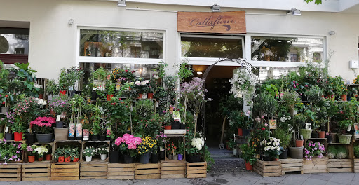 Call a fleur Floristic e.K.