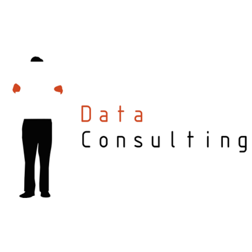 Data Consulting - Visual