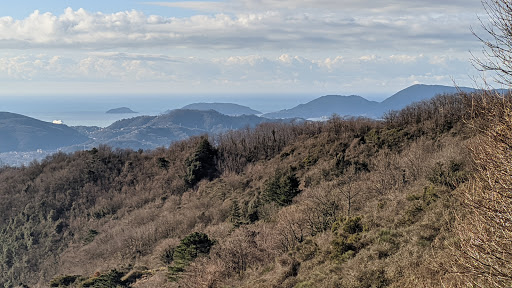 Monte Grosso - Visual