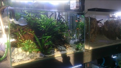 Photos of Panoramic Aqua Design (PAD)