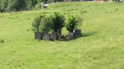 Photos of The Wild Mountain - Wildpark Mautern