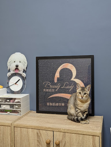 BeautyLady 美麗殿棠評價、營業時間、服務項目、價格 – 專業清粉刺與客製肌膚保養 - Place thumbnail