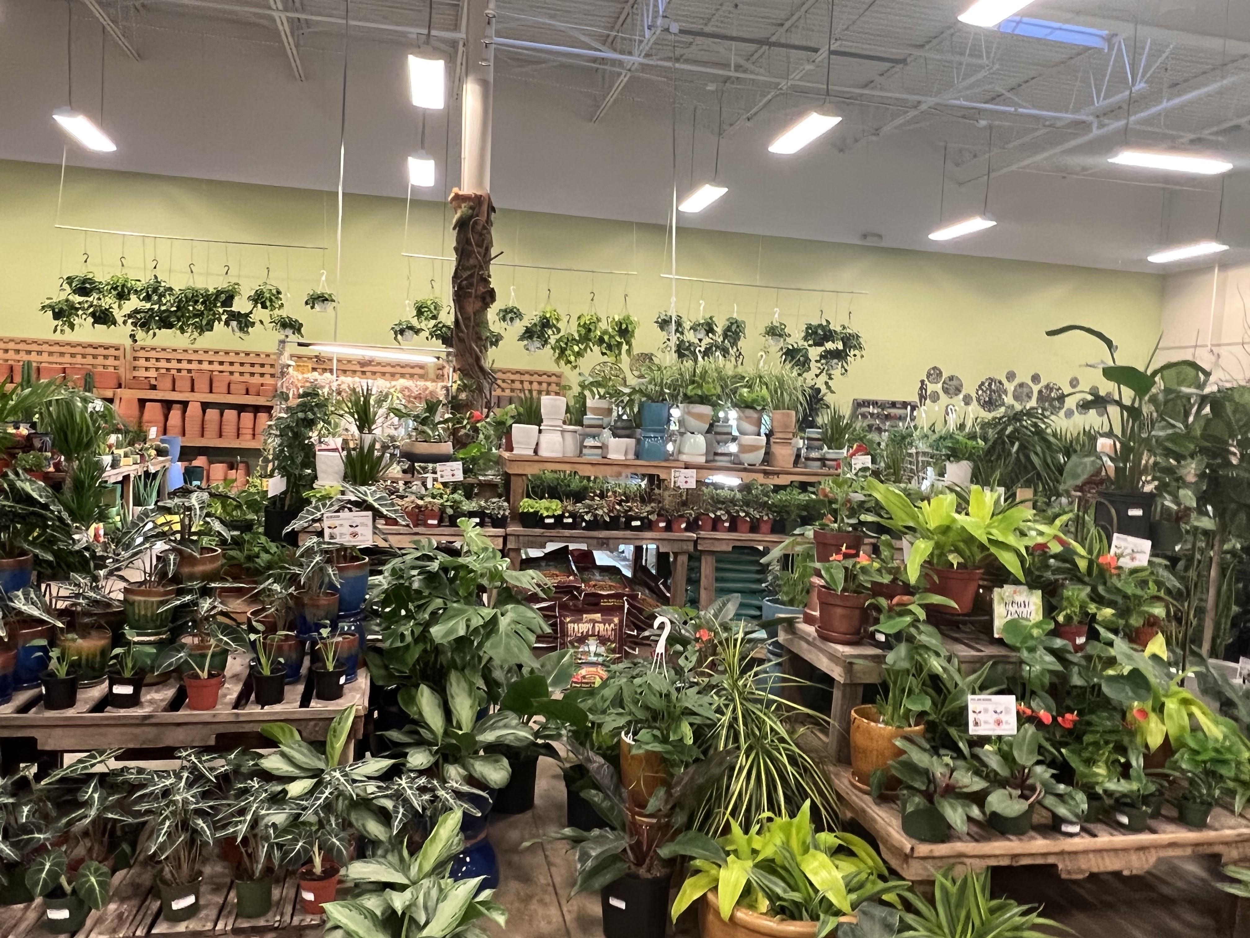 Fifth Season Gardening - Asheville