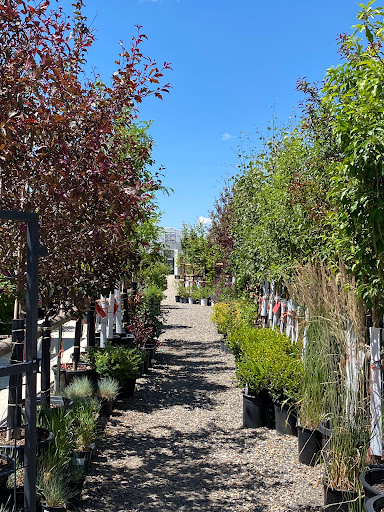 New Beginnings Nursery - Thumbnail