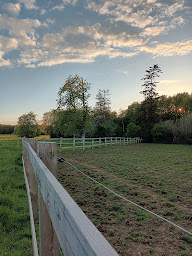 Photo n°11 de Domaine de la Potelière à Les Bottereaux (Écurie)