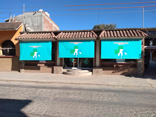 Hospital Veterinaria El rayo - Thumbnail