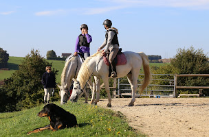 Photo n°22 de Ferme équestre des Ribieres à Saint-Genest-sur-Roselle (Centre de randonnée équestre)