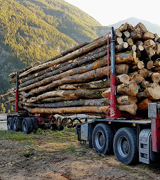 Photo n°3 de Maurienne bois de chauffage à Saint-Martin-de-la-Porte (Fournisseur de bois)