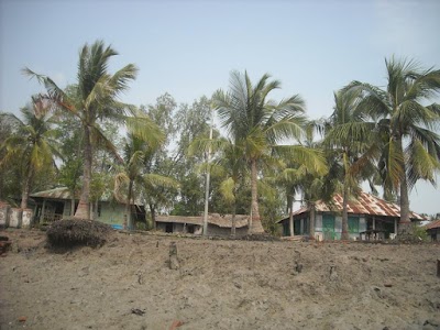 Photos of Munshiganj Forest Office