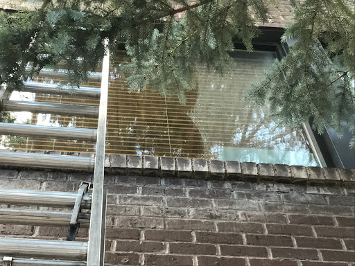 No Pane Window Cleaning Gallery - United States