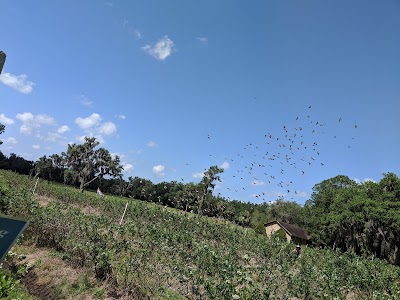 Wacahoota Farms