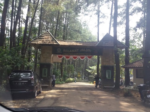 Hutan Pinus Sentul, Author: Tuti Aminah