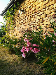 Photo n°18 de Ô Rêve de Gabriel à Coly-Saint-Amand (Chambre d'hôtes)