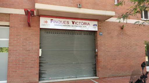 Finques Victòria - Thumbnail