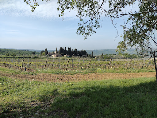 Firenzeshuttle - Visual