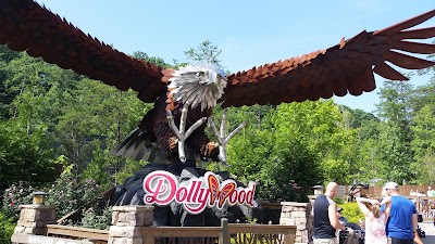 Photos of Wild Eagle