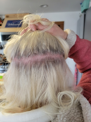 Swan Unisex Salon Inc