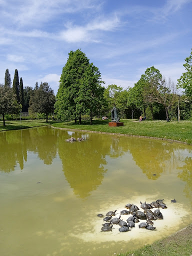 Laghetto delle tartarughe - Thumbnail