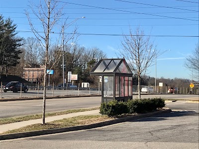 Patton Ave at Regent Park Blvd