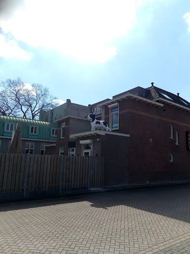 Waalwijk, De Els Gallery - Netherlands