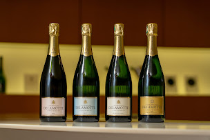 Photo n°14 de Fabian Monchâtre - Société de Production Audiovisuelle, Télépilote de Drone et Photographe à Jarnac (Société de production vidéo)