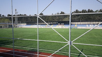 Şenlikköy Stadium