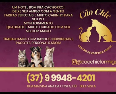 Cão Chic - Banho e Tosa e Hotel Pet