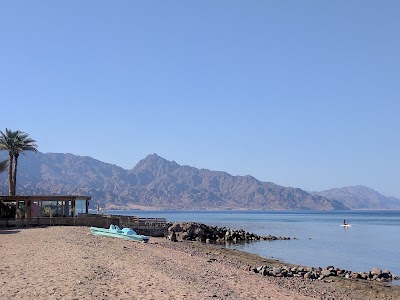 Photos of Eel Gardens
