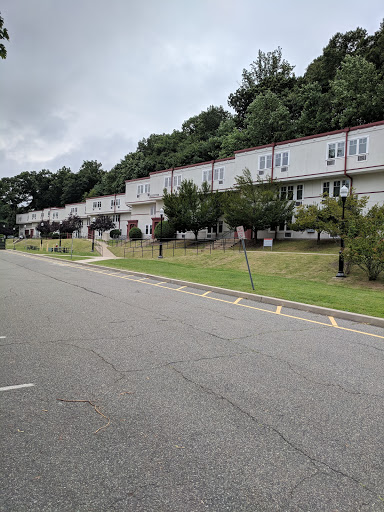 Hawk Crossing at Montclair State University Gallery - United States