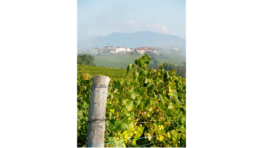 Viticulteur & Producteur de Vin dans le Bugey - Caveau Dufour