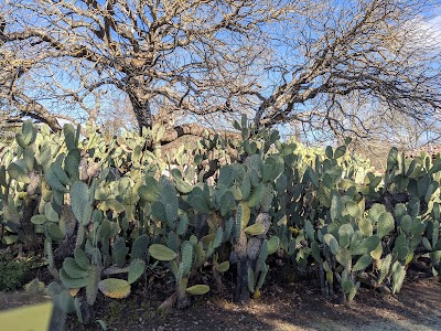 Sonoma State Historic Park