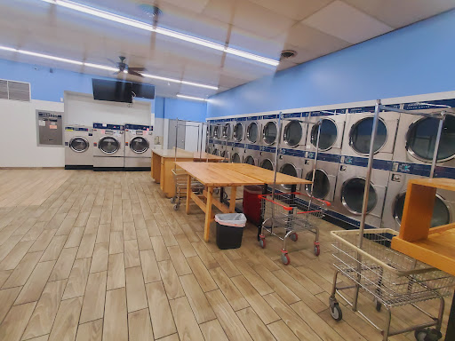 Cherry Coin Laundry - Visual