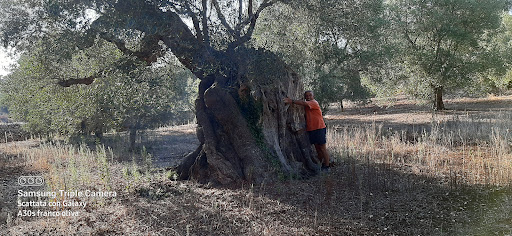 Le chiuserotte - Visual