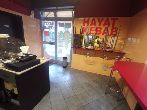 Hayat - Visual