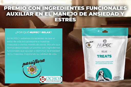 Veterinaria Ochoa