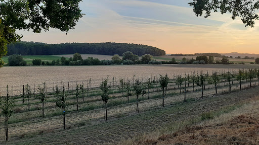 Friedhof Gielde